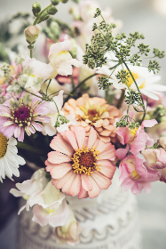 2015年金球奖颁奖典礼全程高清直播盛况