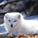 2016年度马拉松全程直播视频精彩回顾 131tl62tp