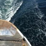 3d开奖结果272期最新开奖号码精准查询 4dlp0nxt59