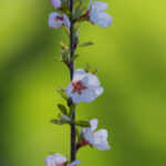 3D开奖结果与快三开奖号码最新实时播报 742ti220dt