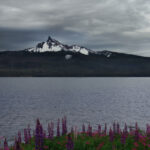 2015年WTA网球巡回赛精彩赛事直播全纪录 g3s3c70