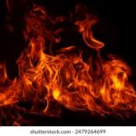 2016年澳大利亚网球公开赛全程高清直播尽在爱奇艺 j02j7po