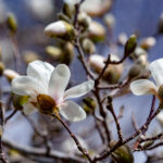 3d开奖结果历史开奖今天开奖结果最新查询 jkg5bn1i