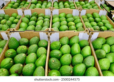 2016年全国象棋甲级联赛精彩赛事全程直播