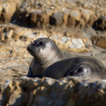 3d开奖结果今日揭晓:最新开奖号码与中奖详情公布 qs17u87