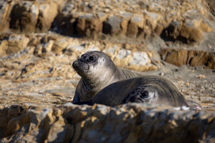 3d开奖结果今日揭晓:最新开奖号码与中奖详情公布