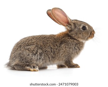 3D开奖结果373历史开奖前后关联走势分析